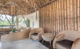 Daun Lebar Villas
